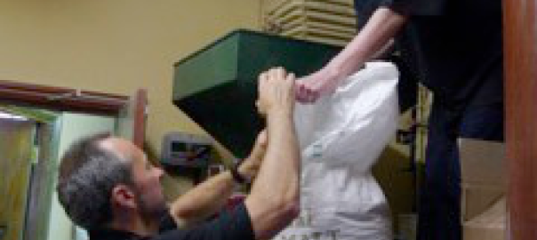 Punch Partners get brewing