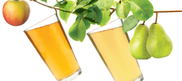 CAMRA Cider and Perry Month