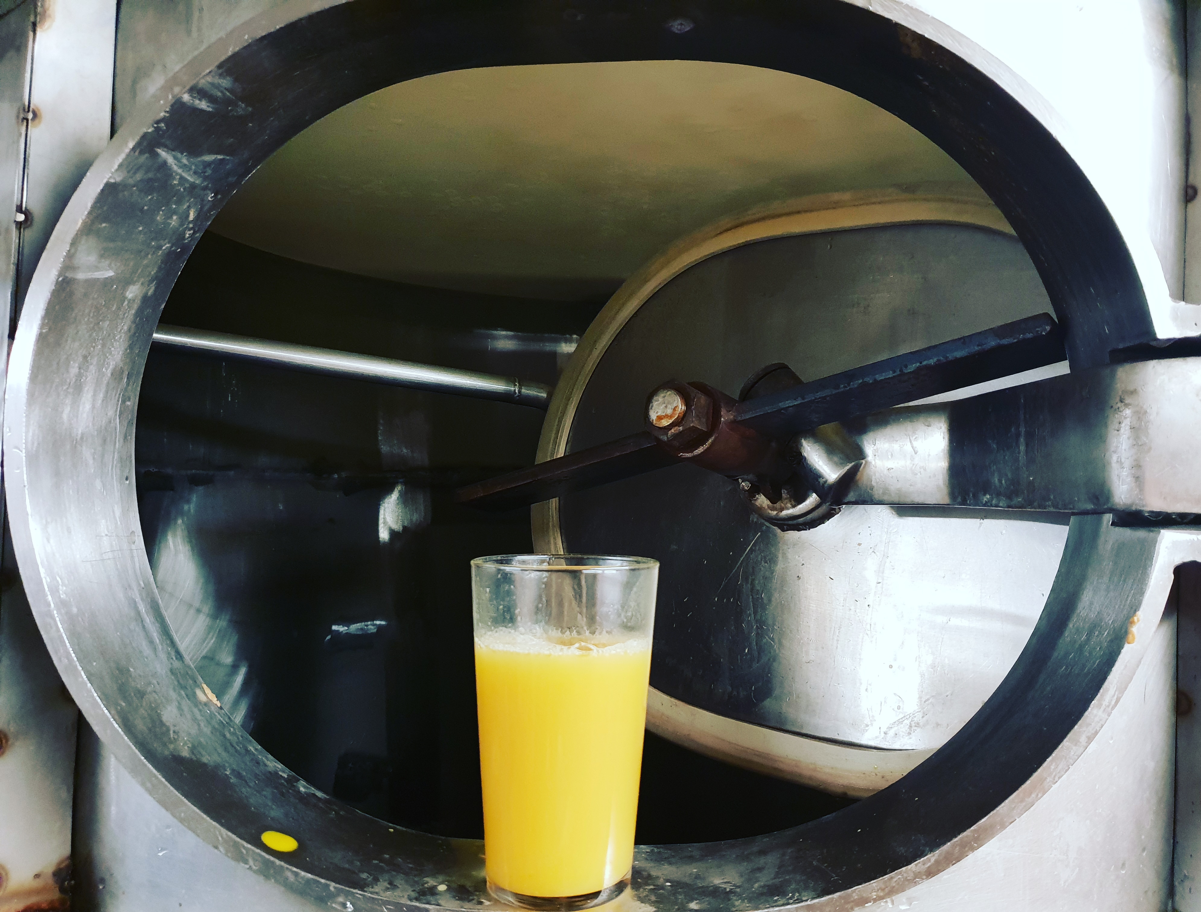 Steel City Brewing CAMRA Sheffield & District