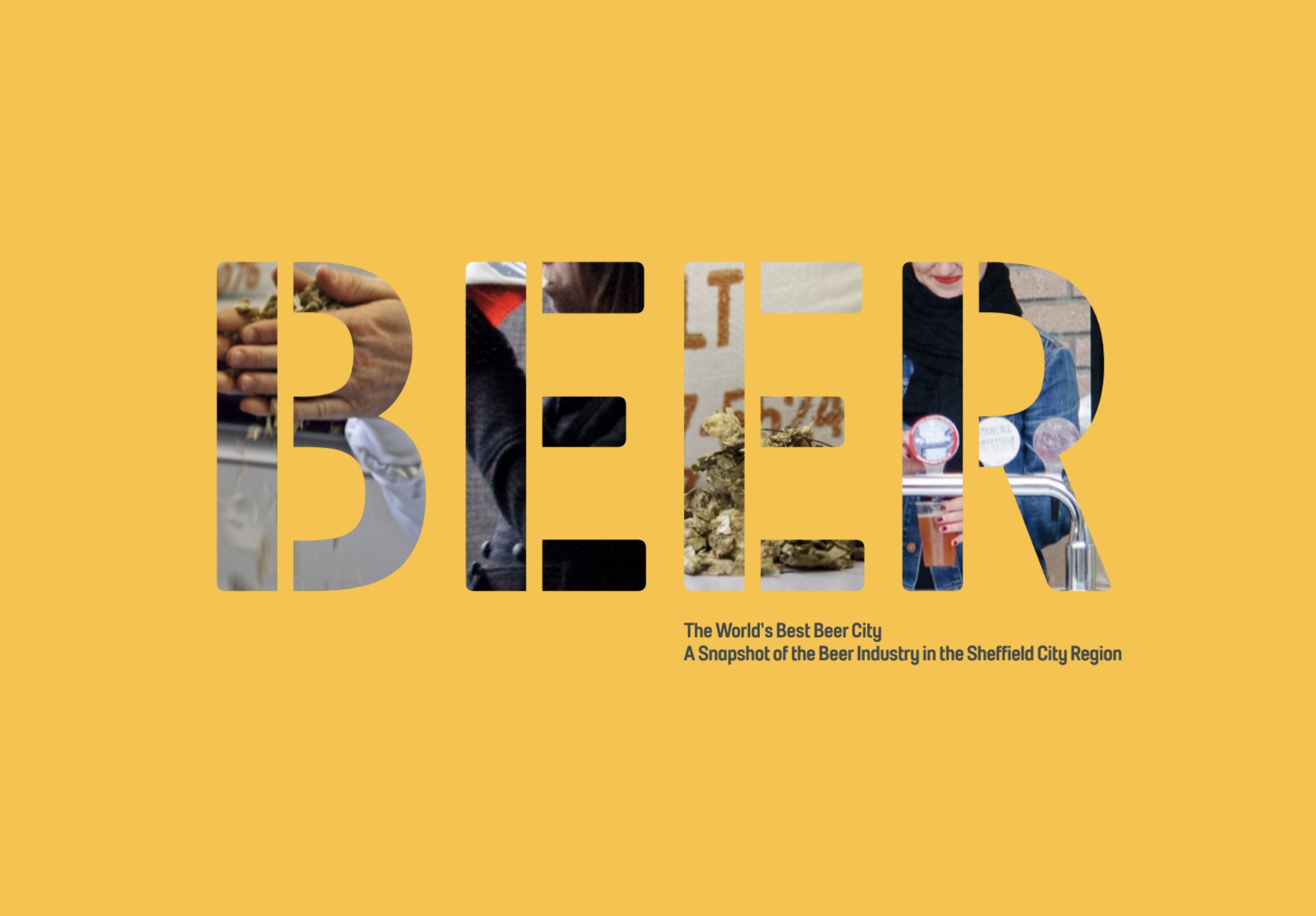 Sheffield Beer Report 2024